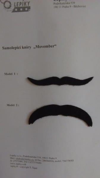 Movember kníry a fousy 